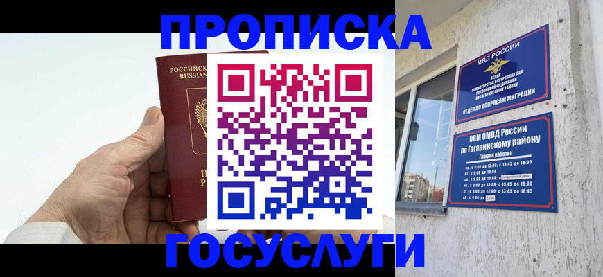 временная регистрация надежно в Шали